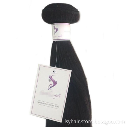 Mink Brazilian Straight Malaysian Hair Weave Bundles With Closure 8A and 9A, Wholesale Silky Straight Hair Extensions